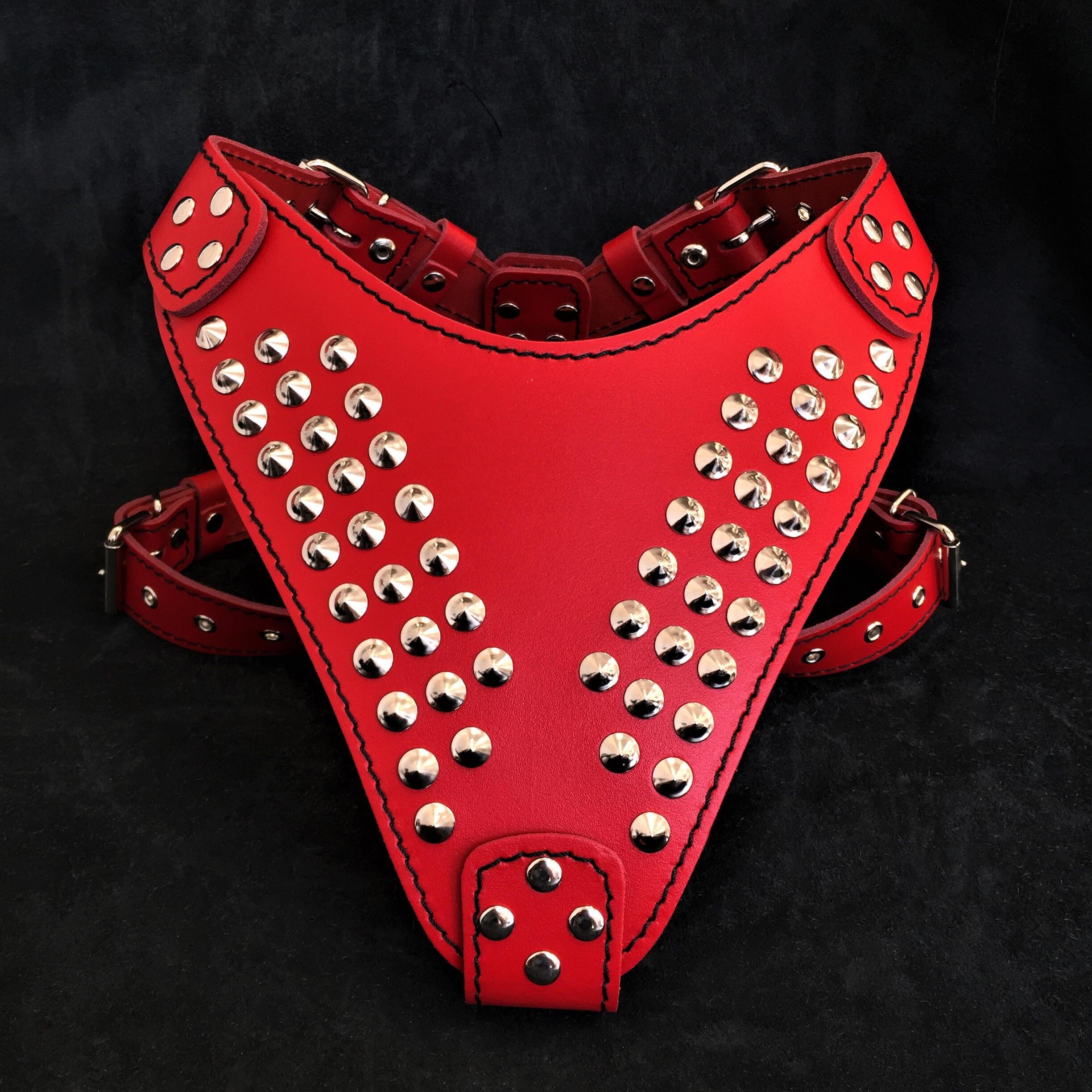 Star Dog Harness – Premium Leather, Adjustable, Large Breeds