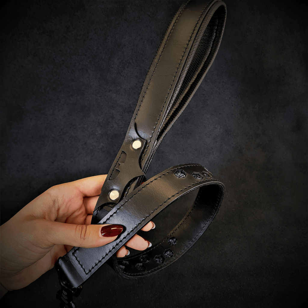 Dog Leash – Premium Leather, Heavy Duty, Large Breeds