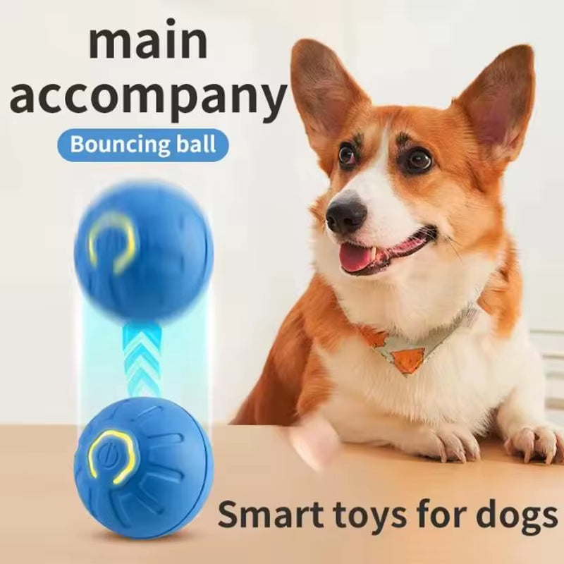 Hot Intelligent Pet Toy Ball Electronic Pet Interactive Toy Moving Ball USB Puppy Automatic Moving Bounce Gift Cat Products.