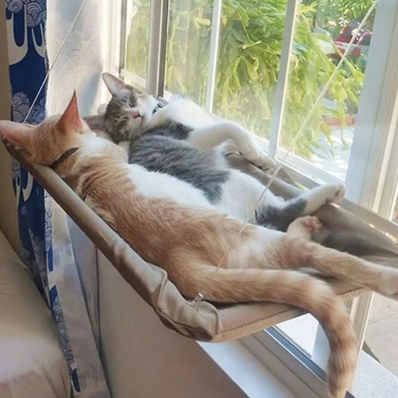 Cat Hammock Window Hanger Cat Hammock Washable Detachable Pet Bed Suction Shelf Bag Beds Seat for Cat Sleeping Pet Supplies