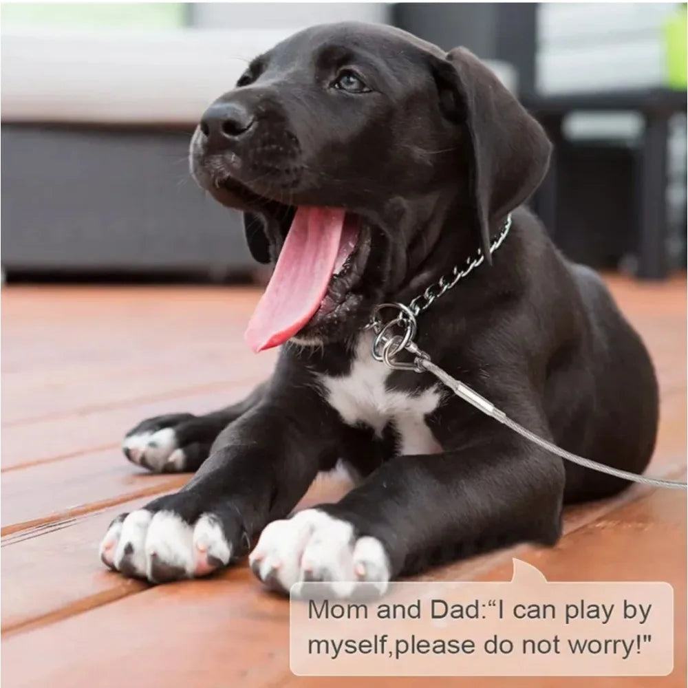 Double-Headed Dog Tie Out Cable Leash ,Raction Rope with Metal Buckle Steel Wire Anti-Rust Training Collar,Outdoor Dogs Strap