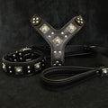 Dog Set – Harness, Collar & Leash – All Black Leather, Large Breeds