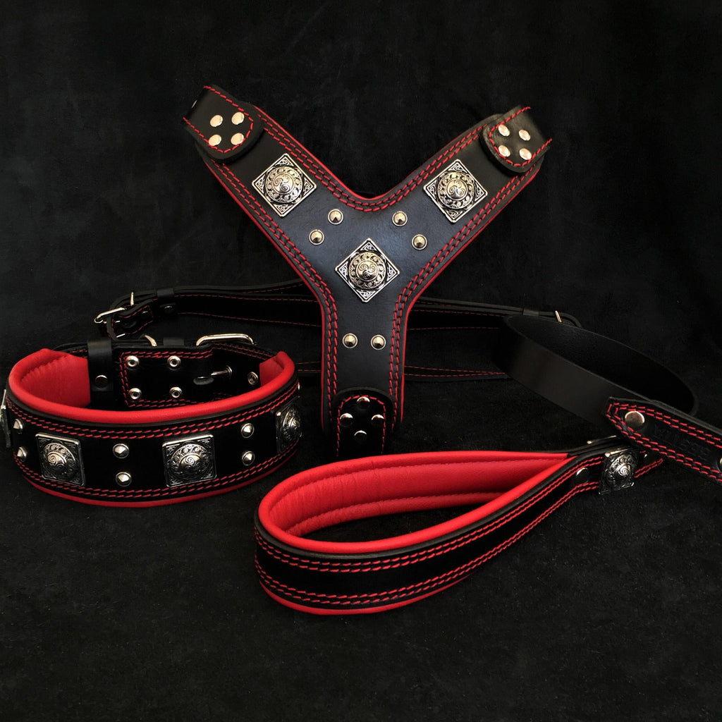 Dog Set – Harness, Collar & Leash – Black & Red Leather, Large Breeds