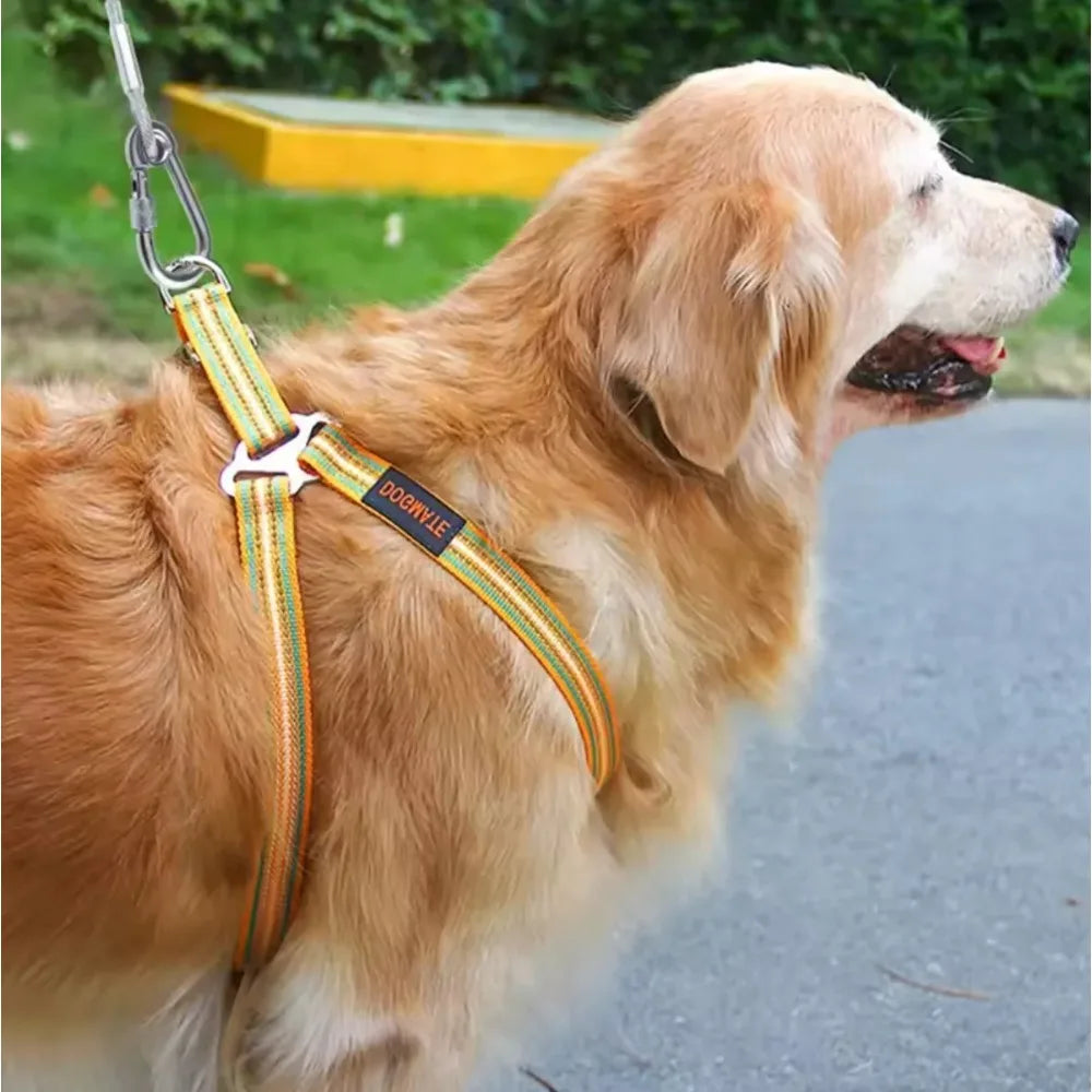 Double-Headed Dog Tie Out Cable Leash ,Raction Rope with Metal Buckle Steel Wire Anti-Rust Training Collar,Outdoor Dogs Strap