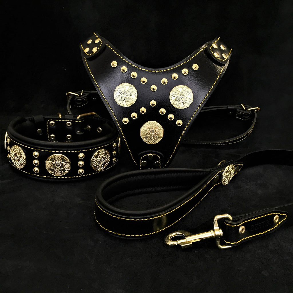 Black Dog Set – Harness, Collar & Leash – Black Leather, Brass Rivets