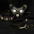 Black Dog Set – Harness, Collar & Leash – Black Leather, Brass Rivets
