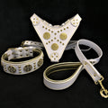 White Dog Set – Harness, Collar & Leash – White Leather, Brass Rivets