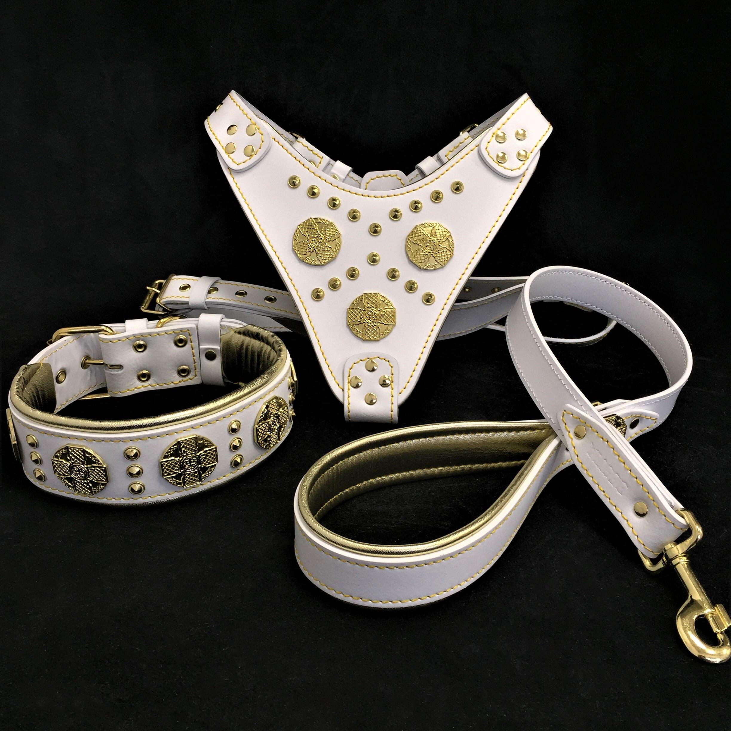 White Dog Set – Harness, Collar & Leash – White Leather, Brass Rivets