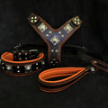 Dog Set – Harness, Collar & Leash – Black & Orange Leather, Large Breeds